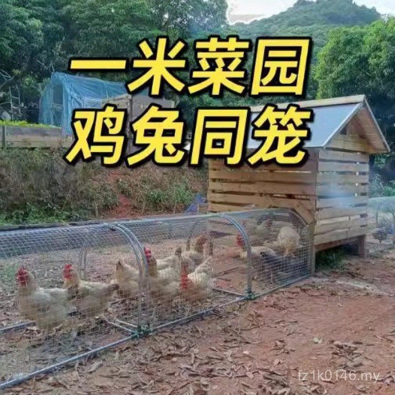 Scattered Breeding Nets Chicken Raising Chicken Sheds Tunnels Slippery ...