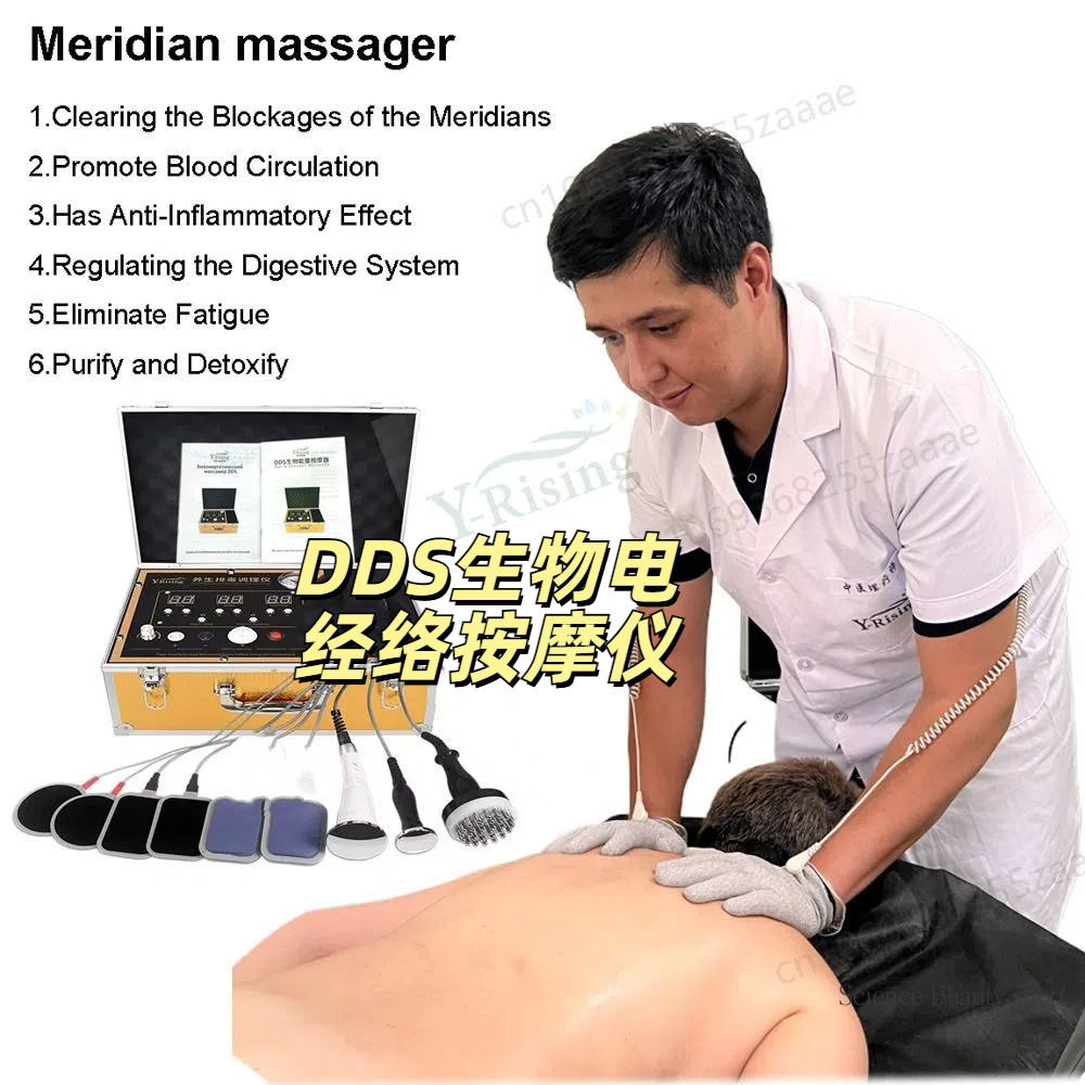 DDS dredging electric therapy device, EMS Body Slimming Weight Loss ...