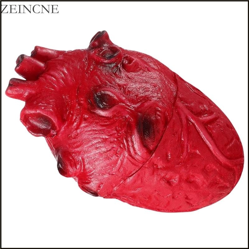 Zein Realistic Human Heart Props for Halloween Decorations Eerie Body ...