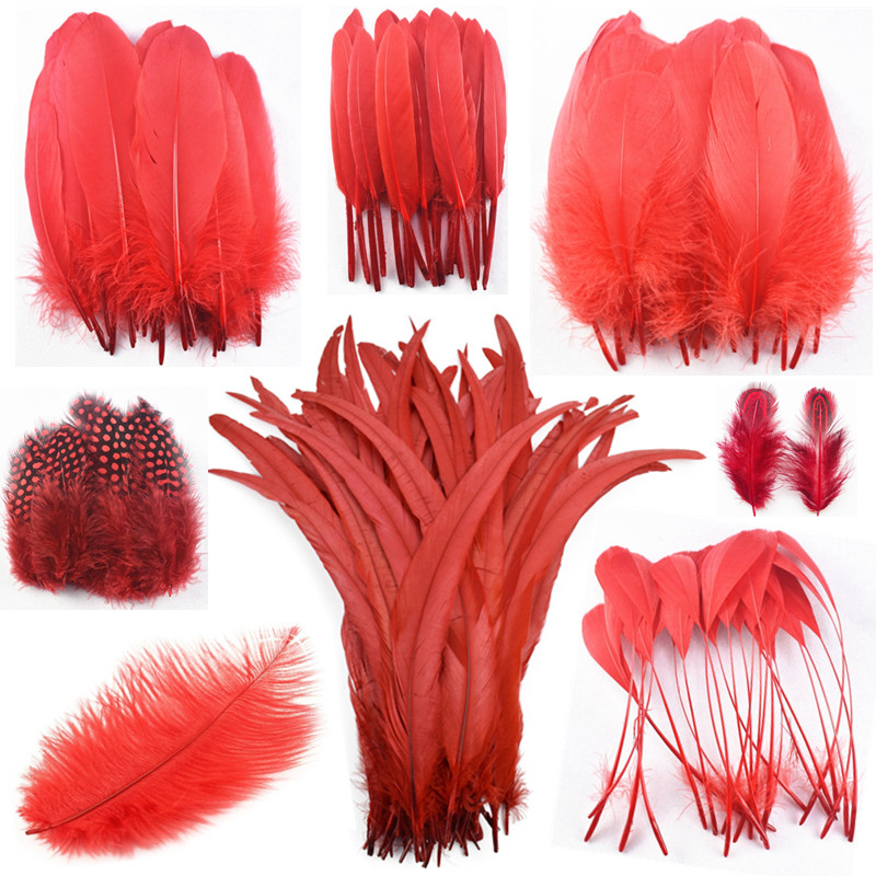 20pcs/Lot Various Red Feathers Rooster Goose Pheasant Feathers for ...