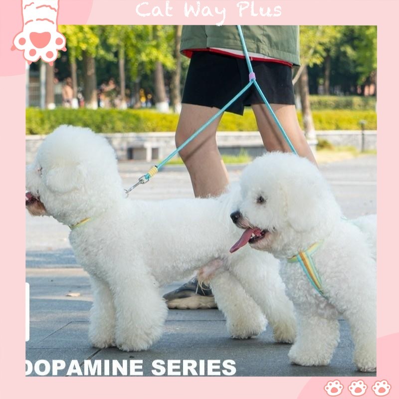 Two-End Leash Traction Rope P Chain Dog Walking Two Dogs Multiple