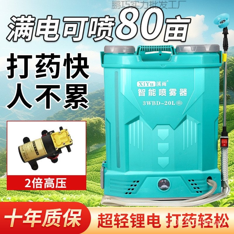 Agricultural Electric Rechargeable Sprayer Knapsack Pesticide Spray Can ...