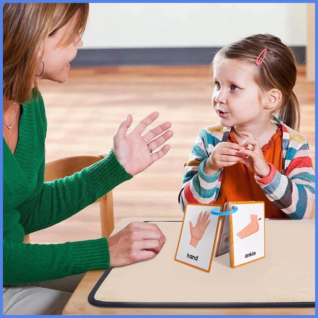 Body Parts Learning Cards English Flash Card Body Parts Pocket Card ...
