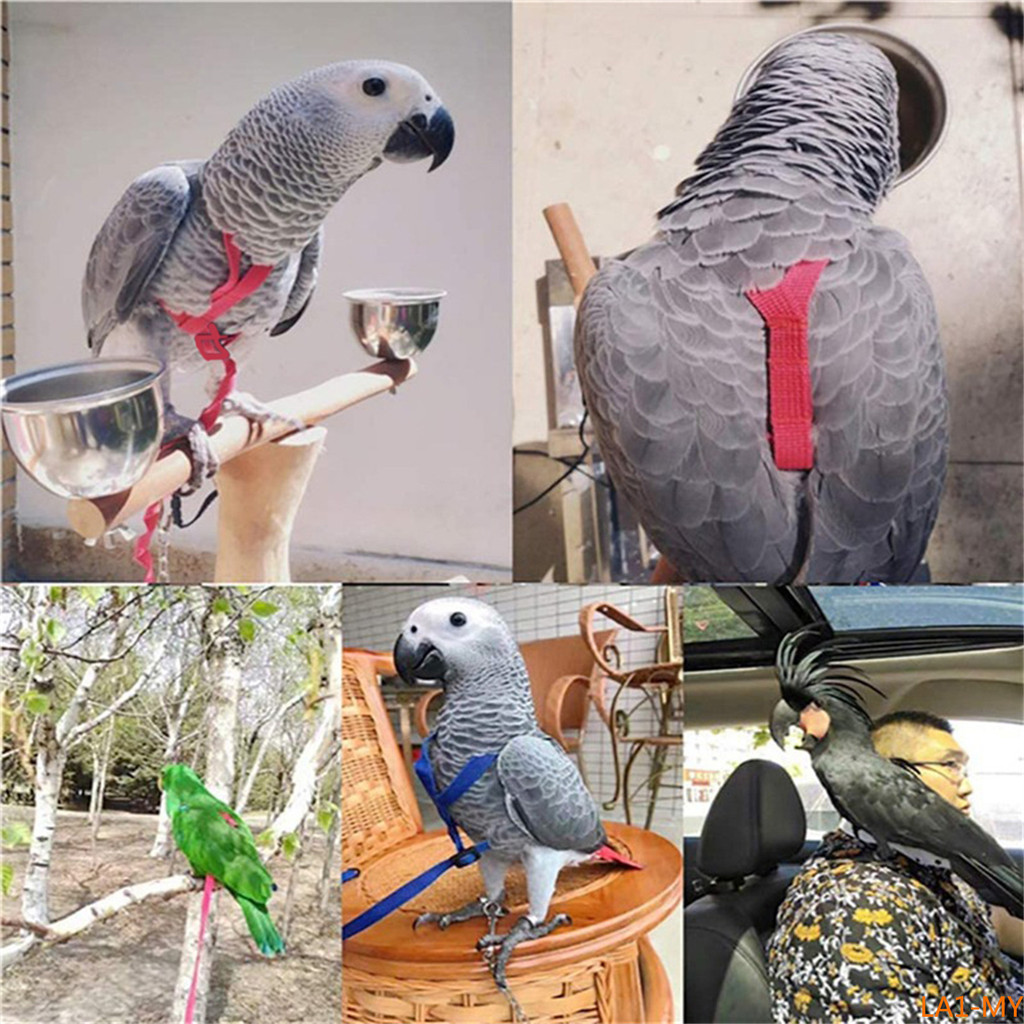 Birds Flying Rope Bird Training Ring Parrot Pigeon Flying Rope Pet ...