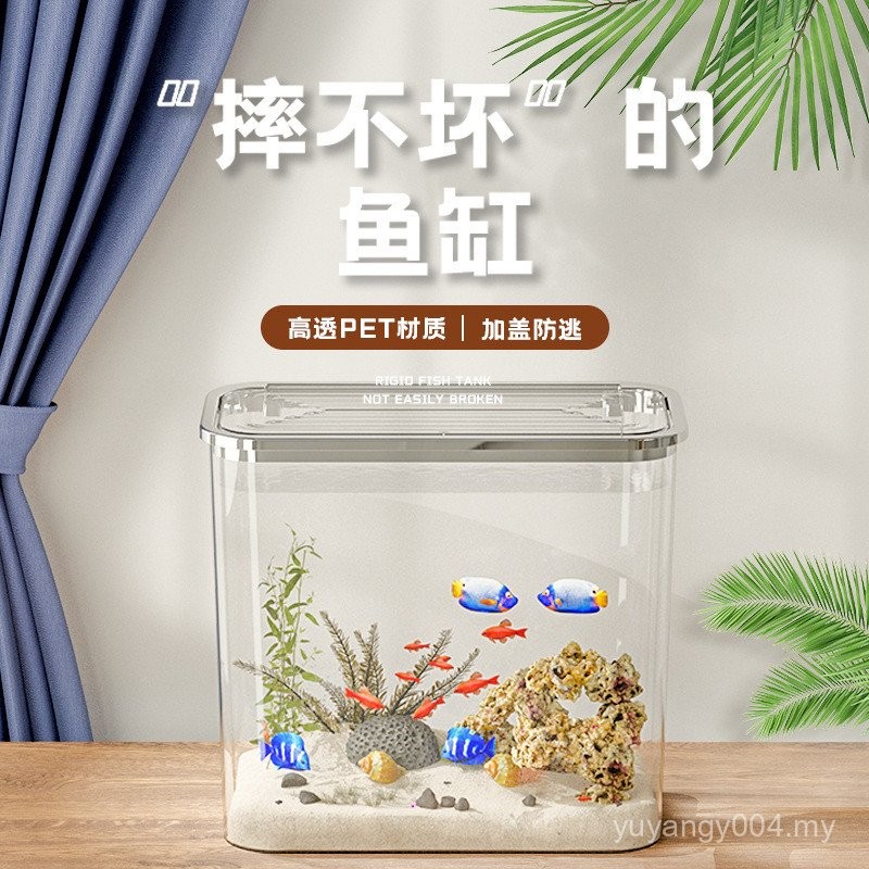 Fresh Look at Light Luxury Transparent Fish Tank Plastic Nude Tank Desktop Living