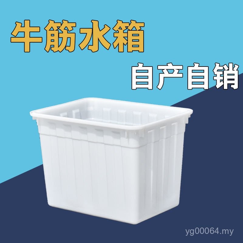Water Tank Fish-selling Fish Fish-farming Fish-turning Aquatic ...