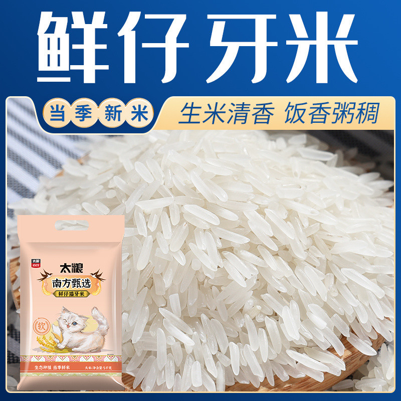 Tai Cuisine Fresh Cat Teeth Rice Selected Fragrant Rice Tribute Rice ...