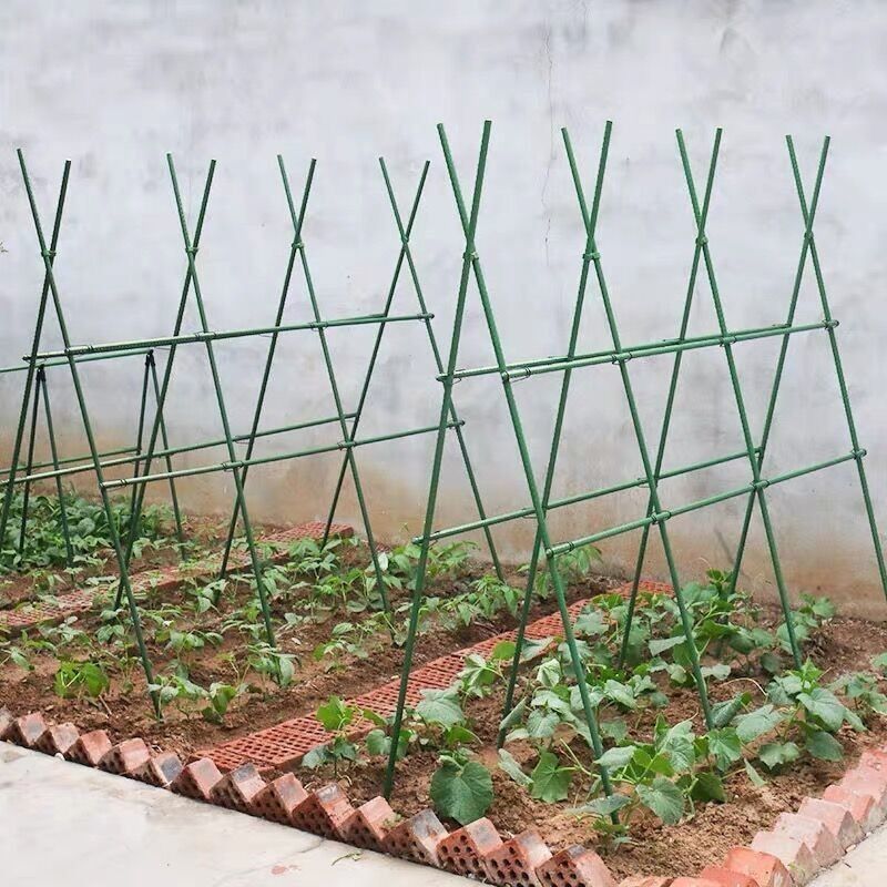 Gardening Stand Plant Climbing Stand Cucumber Climbing Stand Grape ...