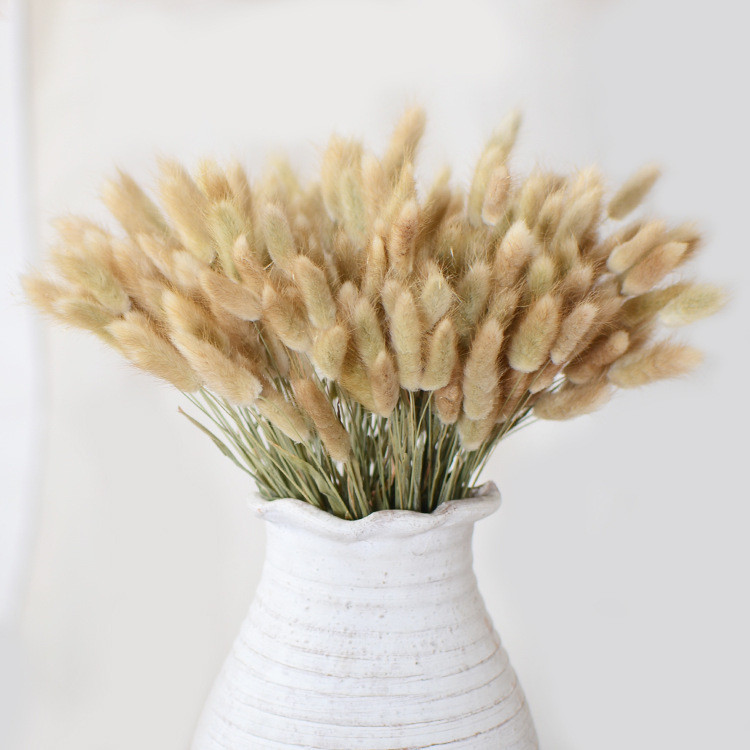 [Rabbit Grass] Mori Series Dried Flowers Small Bouquet Flower ...