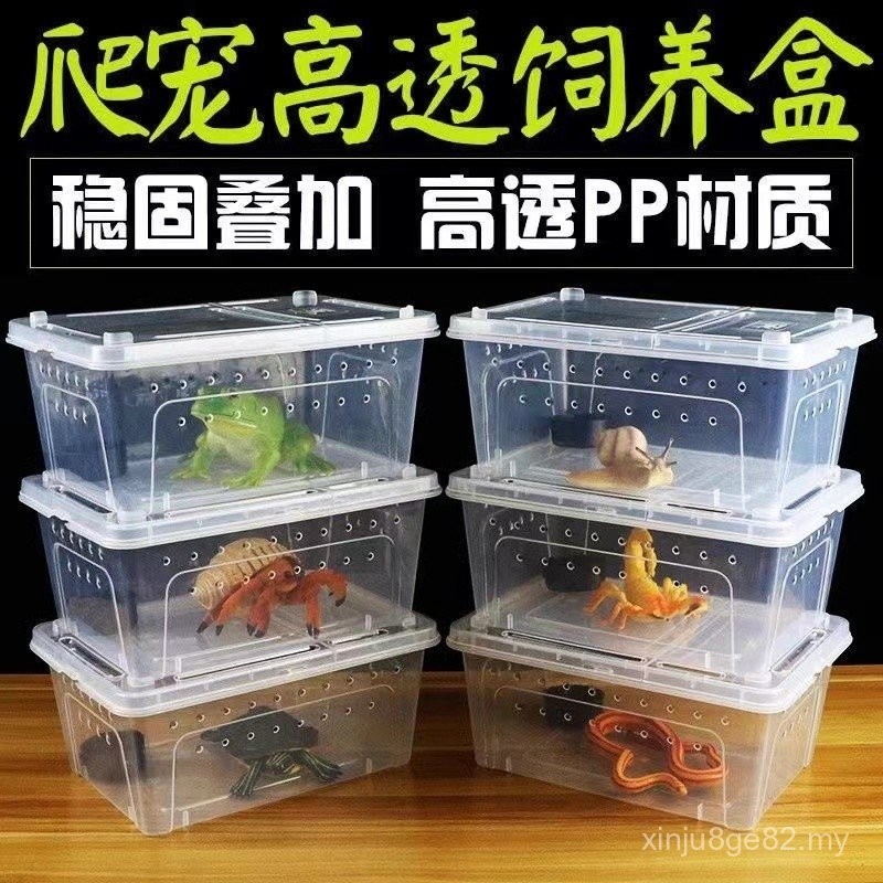 Small Turtle Breeding Box with Lid Amphibious Box Gecko Spider Special ...