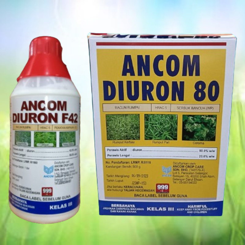 [ORIGINAL] 1L ANCOM DIURON F42 500G ANCOM DIURON 80 Racun Rumput Sambau ...