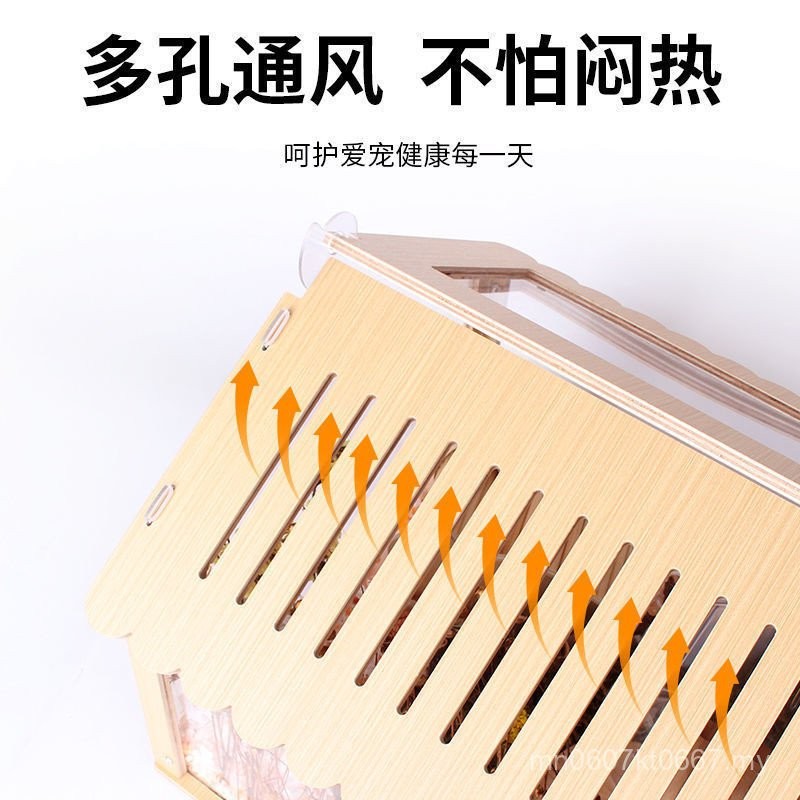 Curated visual reference: Picture Idea: AI Wisdom Rat Hamster Cage Golden Bear Cage Ludiced Chicken