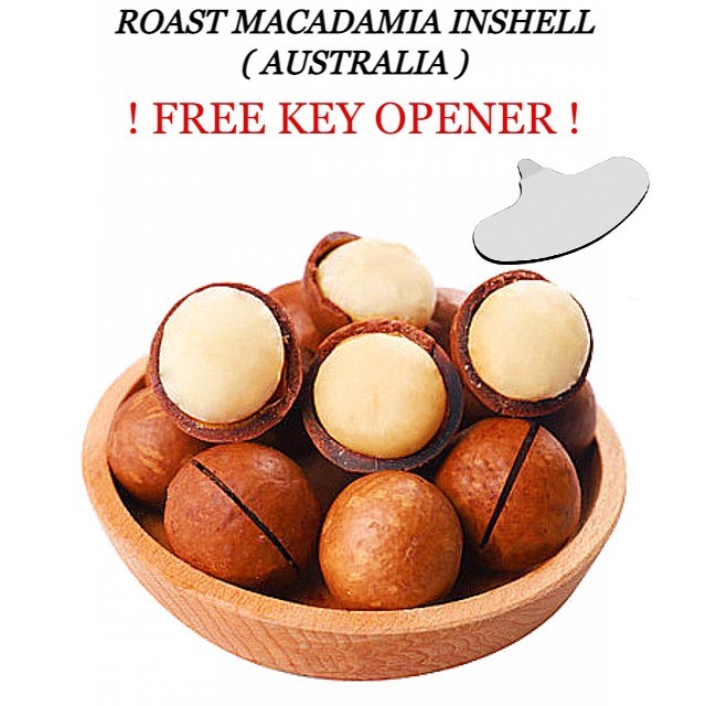 500g | 1 Kg PREMIUM UNSALTED ROASTED MACADAMIA INSHELL IMPORTED FROM ...
