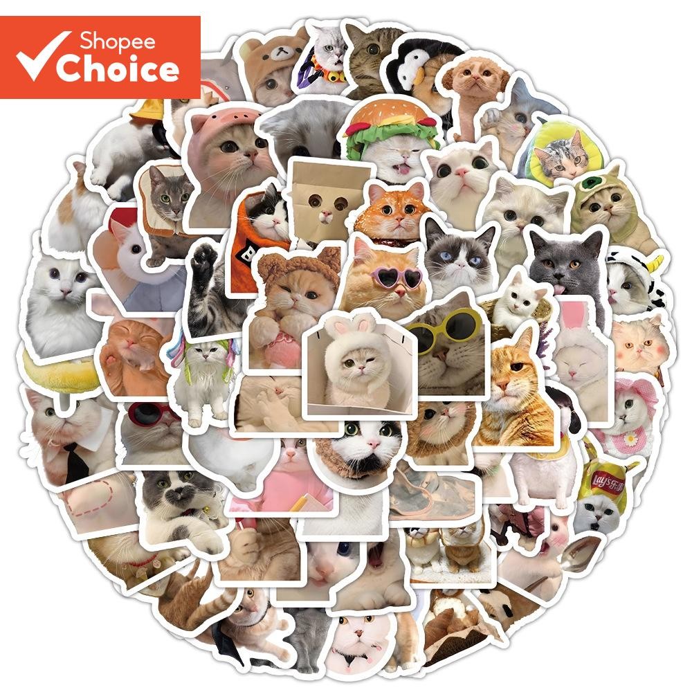 Realistic Cat Stickers 100PCS Waterproof Vinyl Decals for Helmet ...