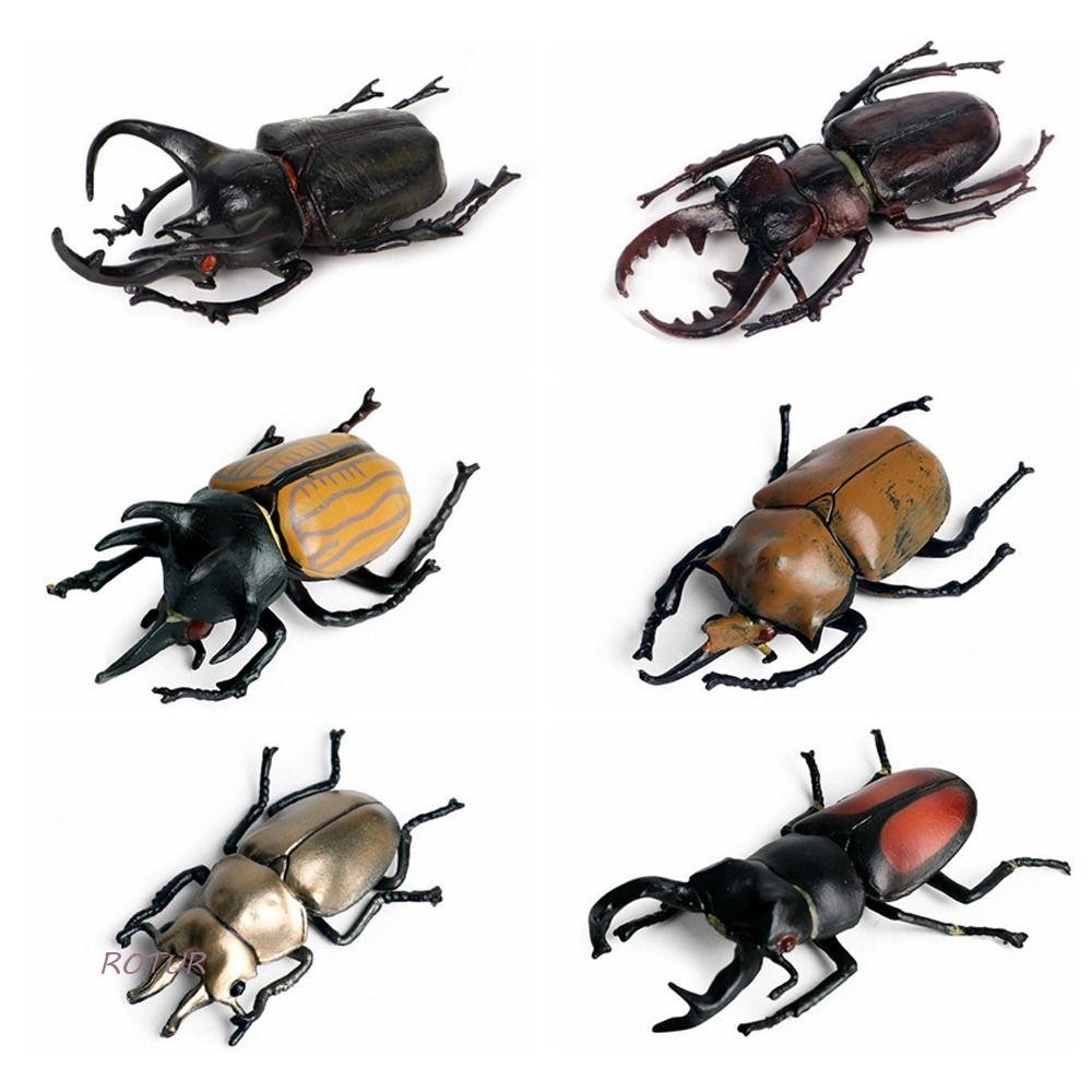 ROTUR Insect Animals Model, Science Wild Insect Beetle Action Figures ...