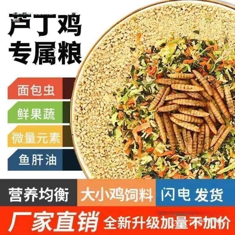 Worm Dry Production Egg Food High-Protein Dried Vegetables Chicken Feed ...