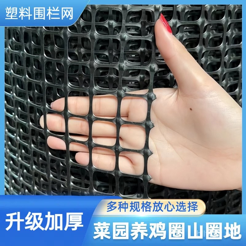 Plastic Mesh Chicken-raising Mesh Breeding Mesh Small Hole Fence Mesh ...