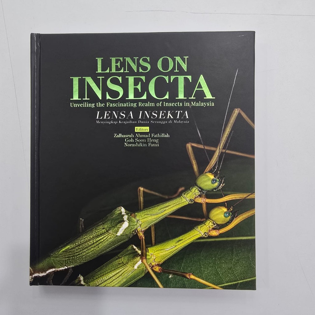LENS ON INSECTA: UNVEILING THE FASCINATING REALM OF INSECTS IN MALAYSIA ...