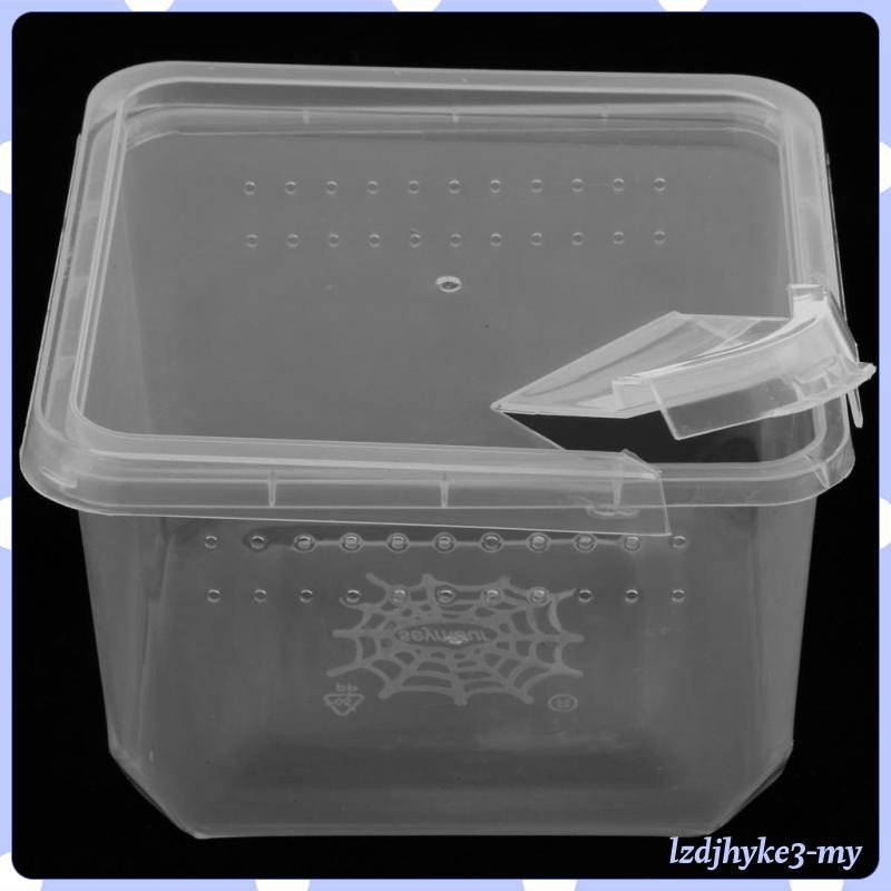 [READY STOCK] Clear Plastic Insect Spider Habitat Feeding Hatching Box ...