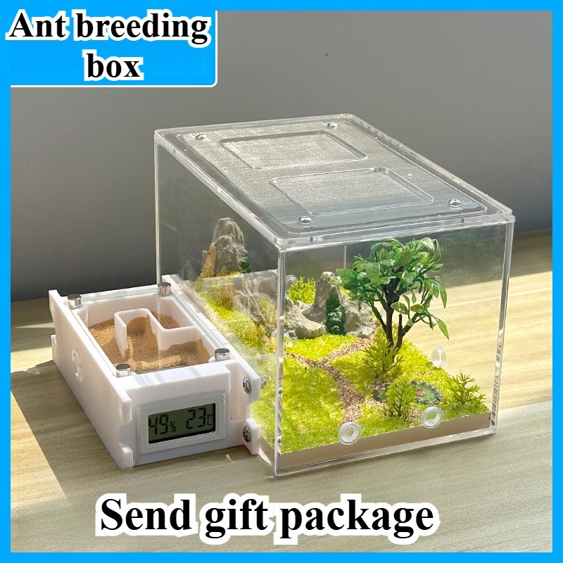 Ant Farm Habitat Castle - 3D Acrylic Educational Ecosystem Kit for Kids ...