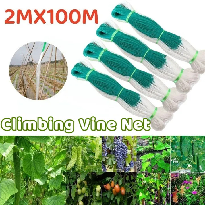 2M X 100M Jaring Tanaman Cucumber Net Netting Climbing Plants Support ...