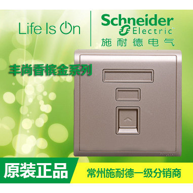 [Original Authentic] Schneider Fengshang Gold Switch Socket Panel ...