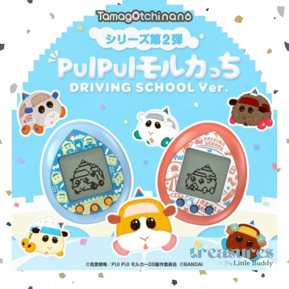 PUI PUI Morcachi Driving School Molcar Moruka Molkachi Molcartchi ...