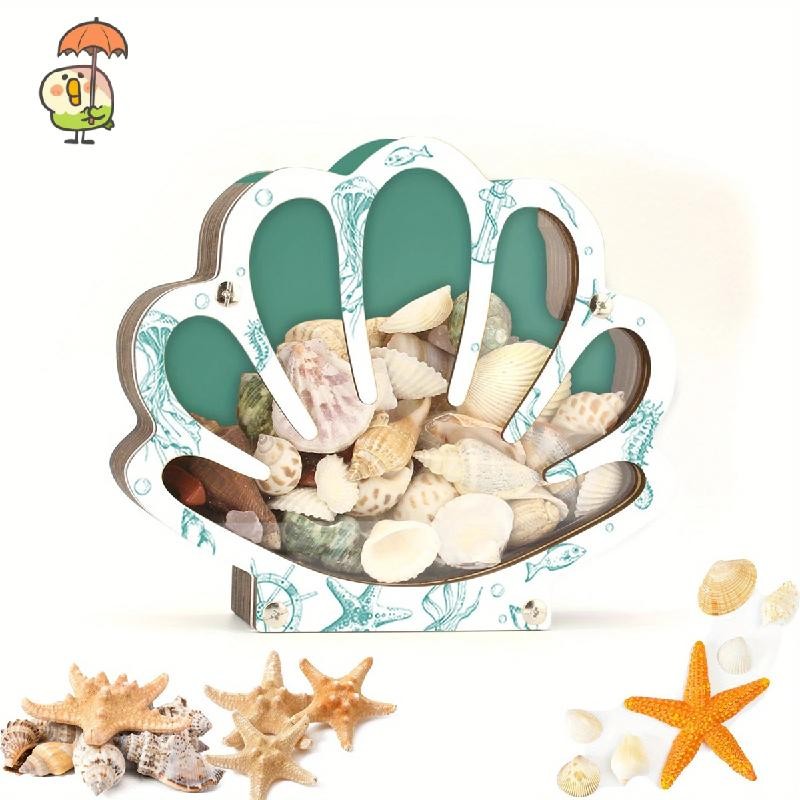 Sea Shells Holder, Wooden Shells Display Cabinet with Acrylic Panel ...