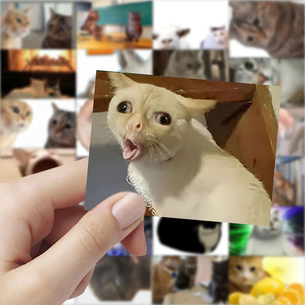 张搞笑沙雕猫meme贴纸趣味抽象创意桌面手机手账装饰贴画防水Zhang funny sand sculpture cat meme ...