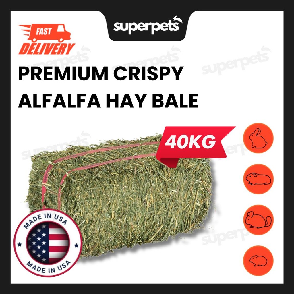 View of [TERMURAH] PREMIUM ALFALFA HAY BALE 40KG Imported Timothy Hay Lucerne ...
