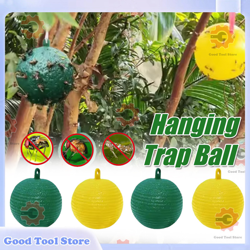 Super Sticky Hanging Trap Ball Fruit Flies Insect Catcher Fruit Fly ...