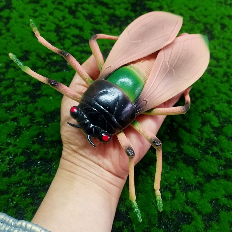 Simulation Cognitive Cicada Insect Animal Model Plastic Children ...