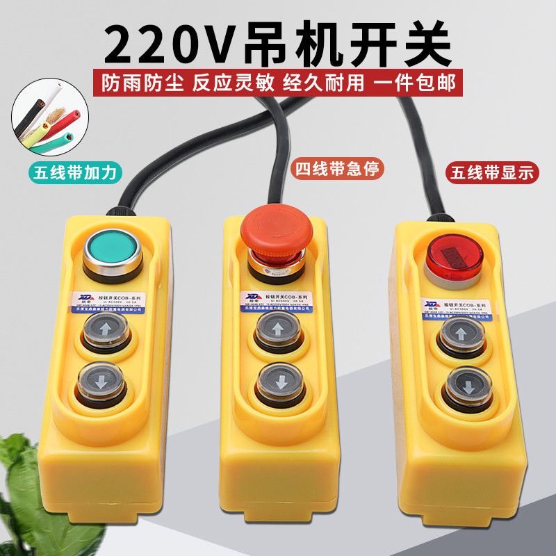 Micro Electric Gourd Crane Switch Push Button Single Phase 220v Crane ...