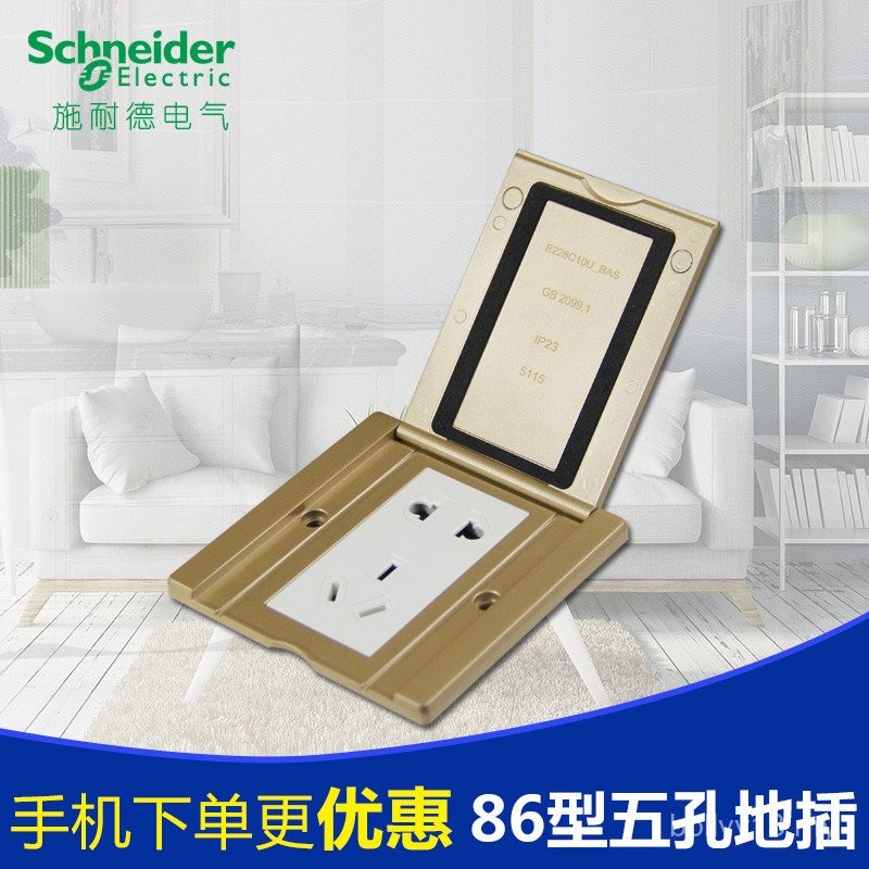Schneider Ground Plug New Style Champagne Gold Ground Socket Two Three ...