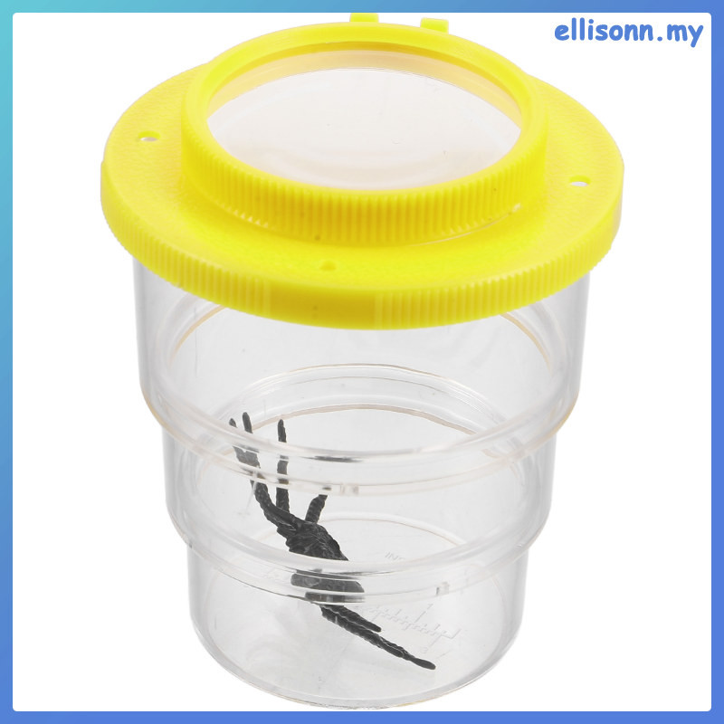 Bugs Jar Viewer Insect Box Magnifier Bugs Container Bulk Insect ...