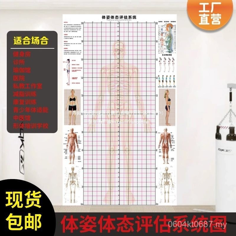 Grid Paper Yoga Hall Evaluation Chart Wall Chart Gym Physical Fitness ...