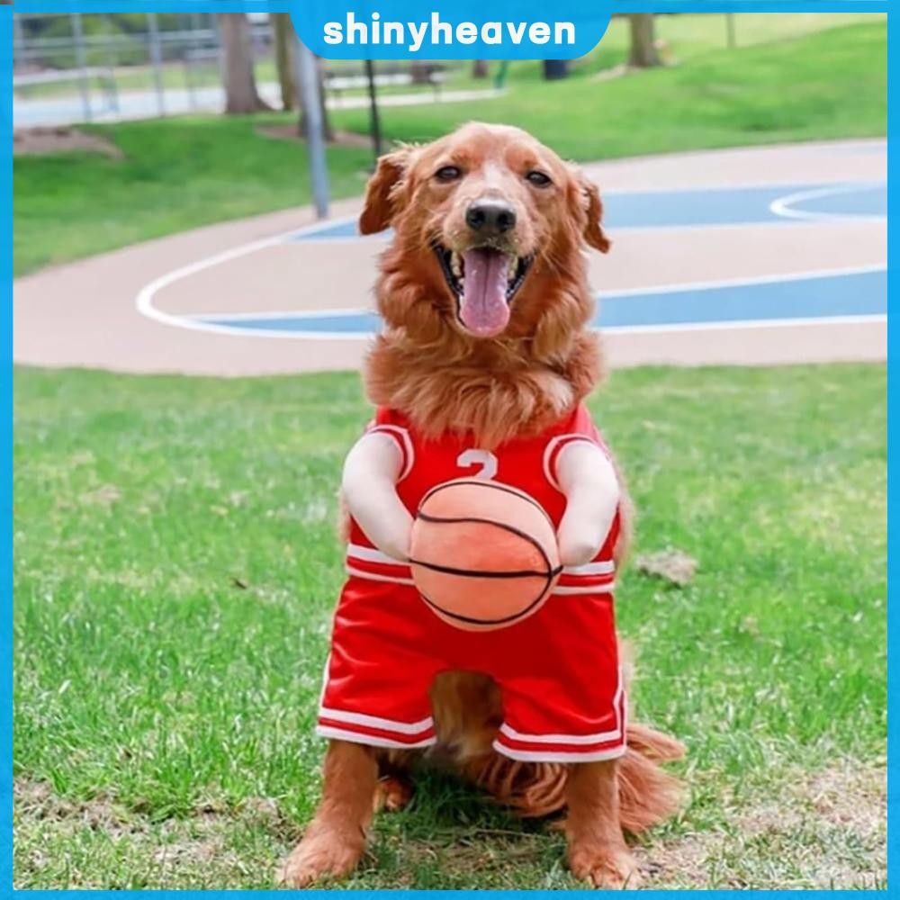 Dogo Pet Fashions Basketball Dog Toy