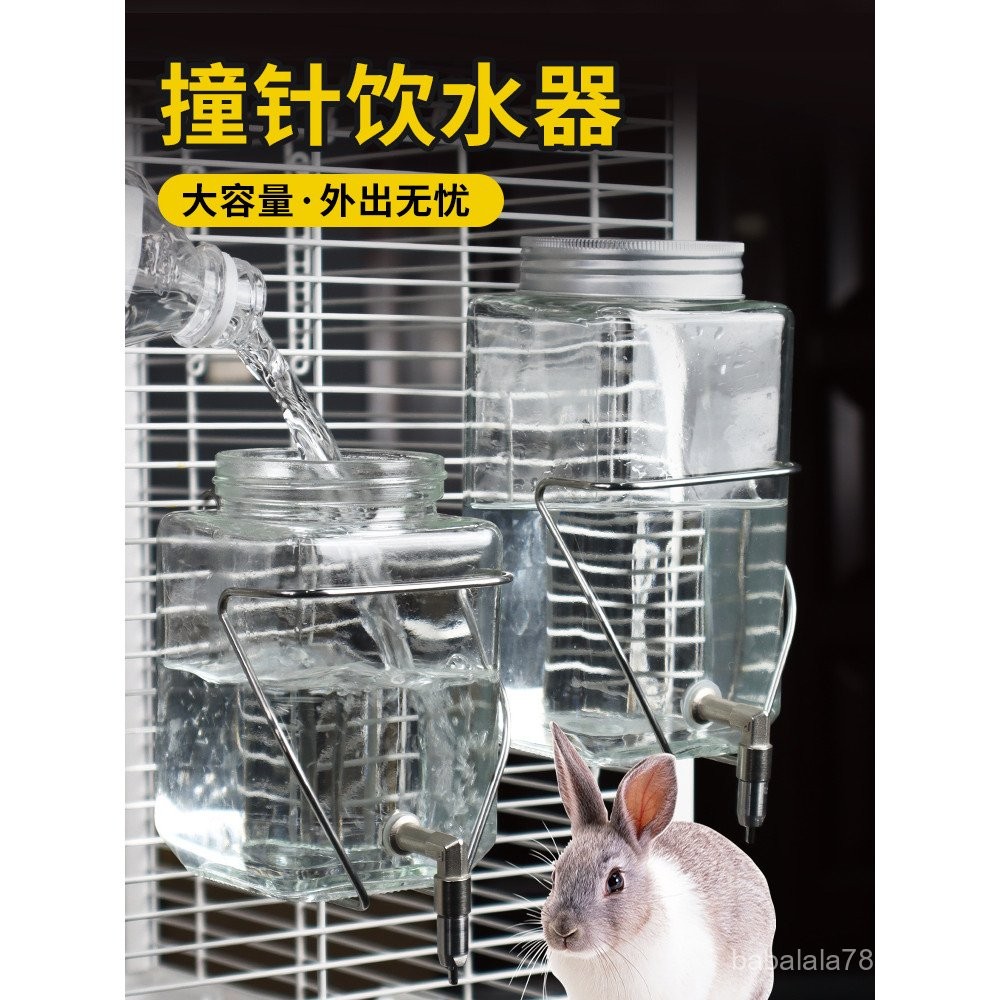 New Product My Neighbor Totoro Water Bottle Parrot Stainless Steel ...