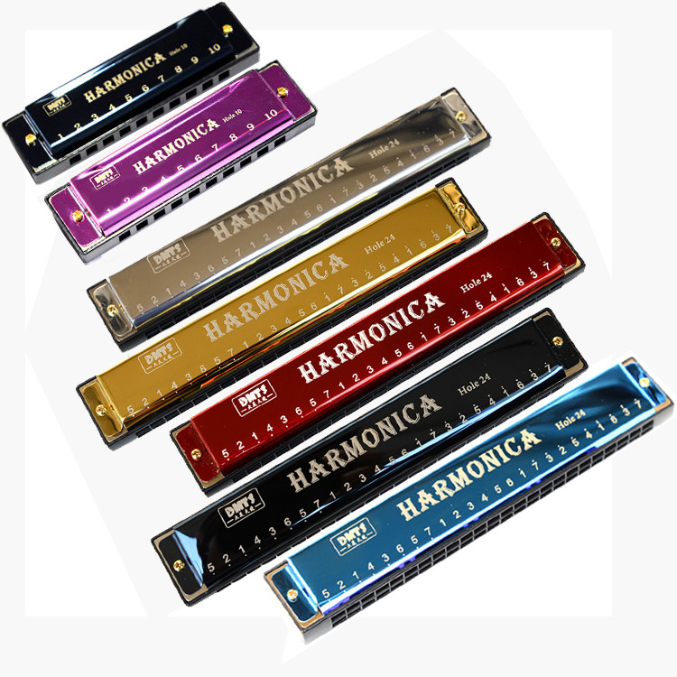 24-Hole Monopolyphonic C-Tuning Harmonica Beginner Self-Study Adult ...