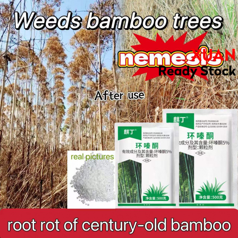 Racun herba Can kill 100-year-old trees Weed killer racun rumput tabur ...