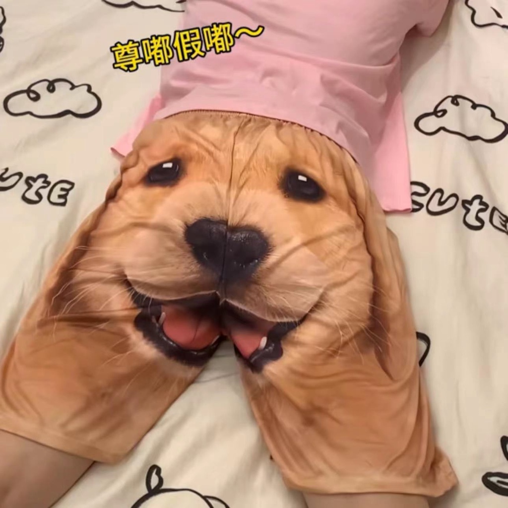 Golden Retriever Tiktok Dog Funny Golden Retriever House