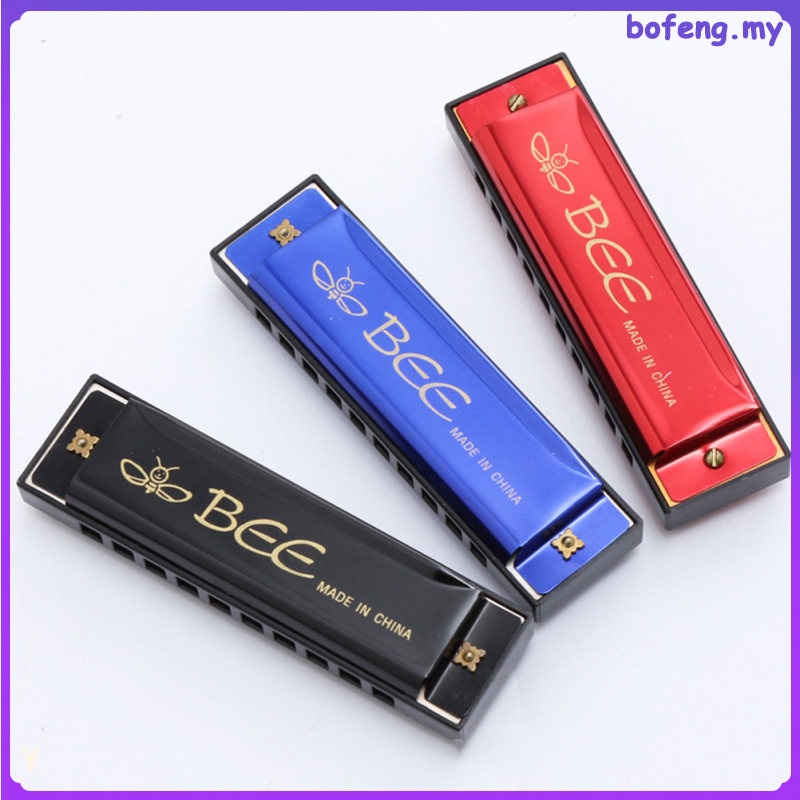 10 Hole Plastic Harmonica Music Instrument for Beginner Students Kids