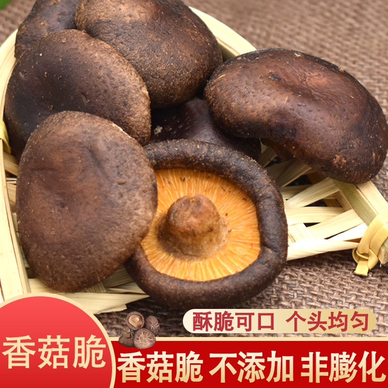 香菇脆 500g readytoeat shiitake mushrooms, crispy fruits and vegetables