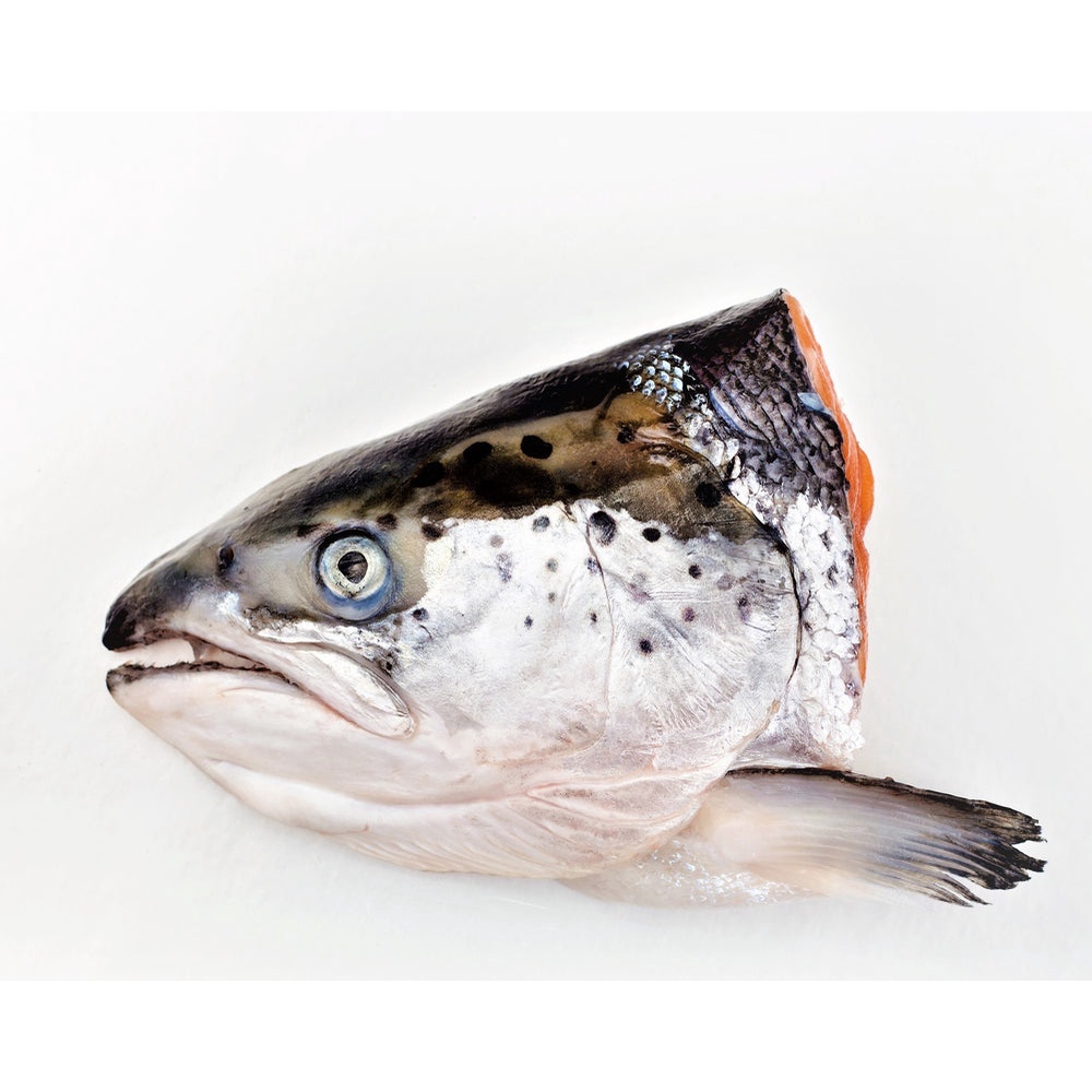 Salmon Fish Head/Salmon Head 400g (Cut) | Shopee Malaysia