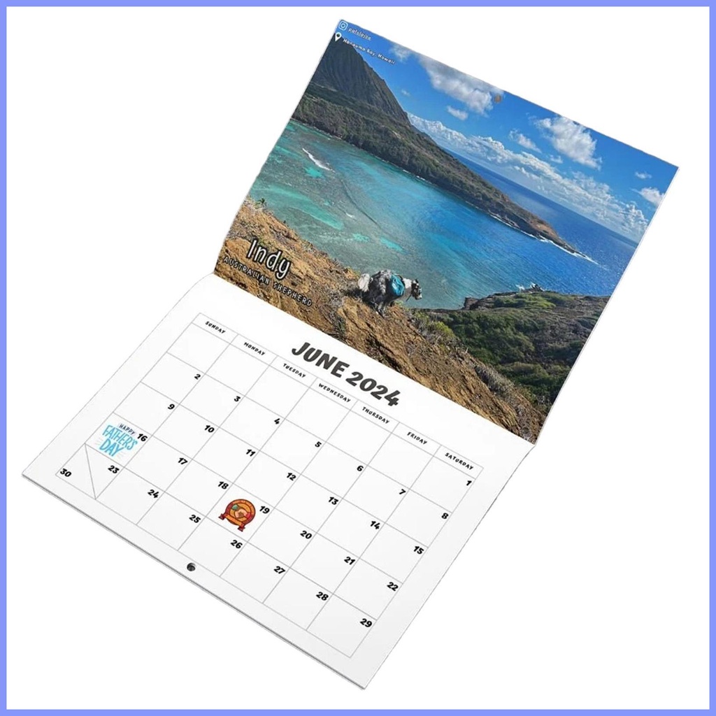 Gag Calendar 2024 2024 Humor Funny Wall Calendar Clear Printing