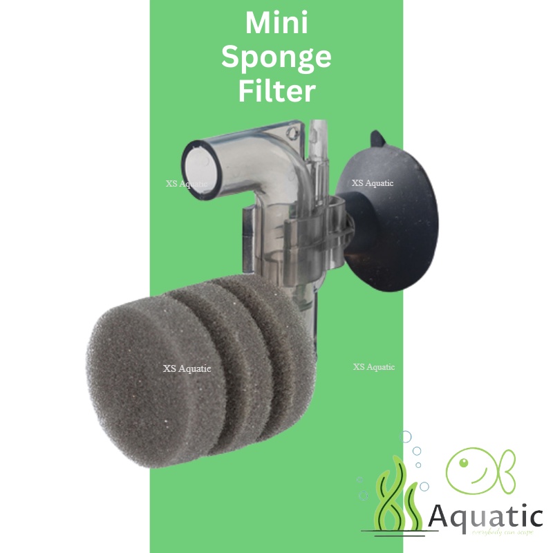 ANTOPIE Ultra Mini Sponge Filter Small Tanks and Nano Aquariums Water ...