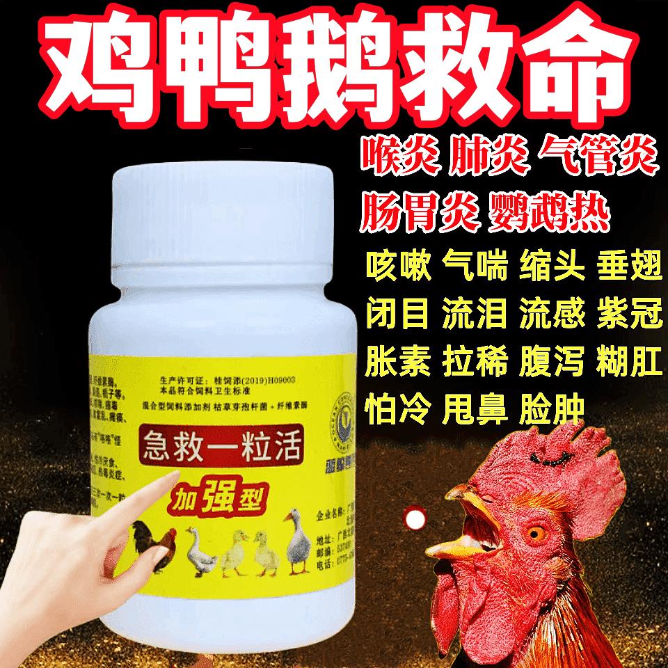 Authentic and old brand chicken medicine, special Authentic old brand