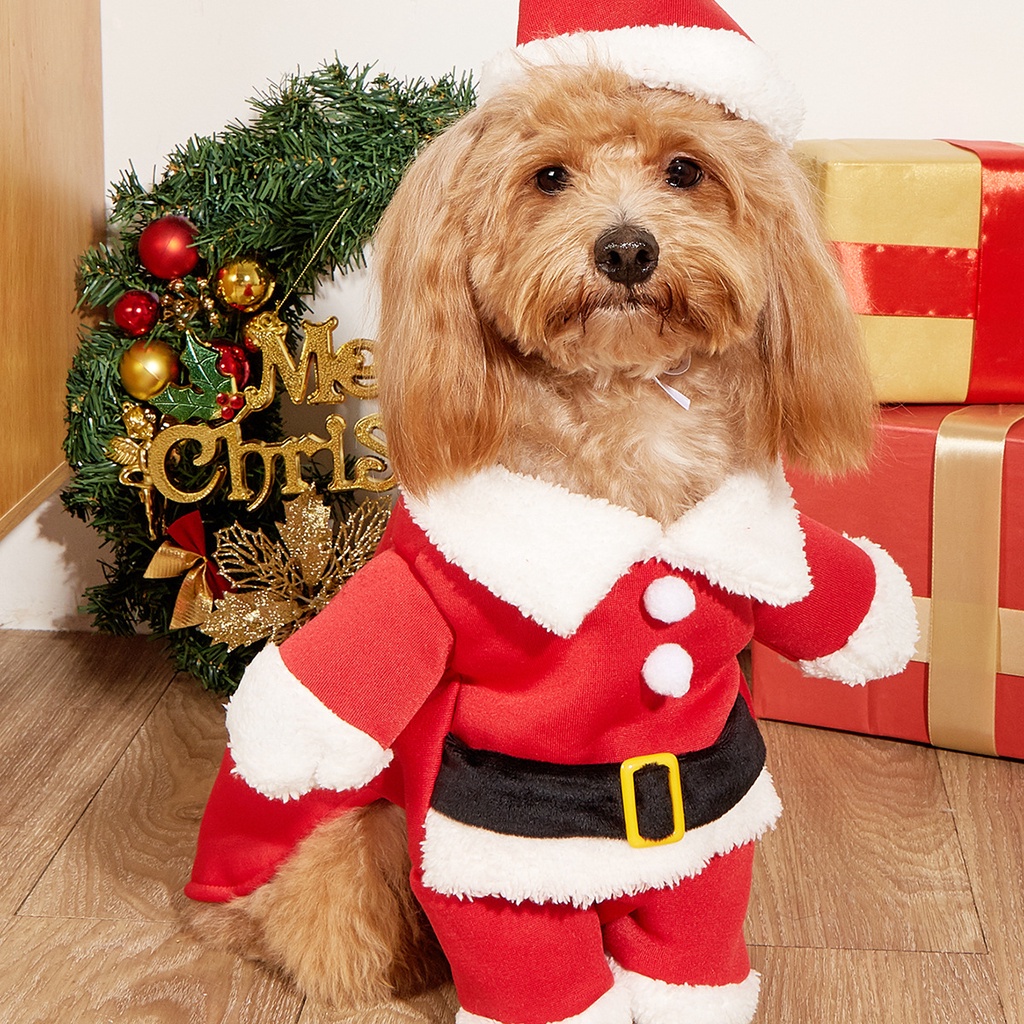 Dog Christmas Clothes Santa Pet Costume Cat Transformation Costume