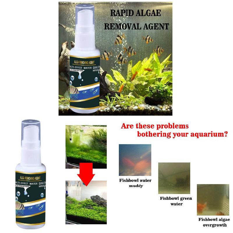 Algae Purifier Aquarium Safe Algae Remover Water Purification For Fish