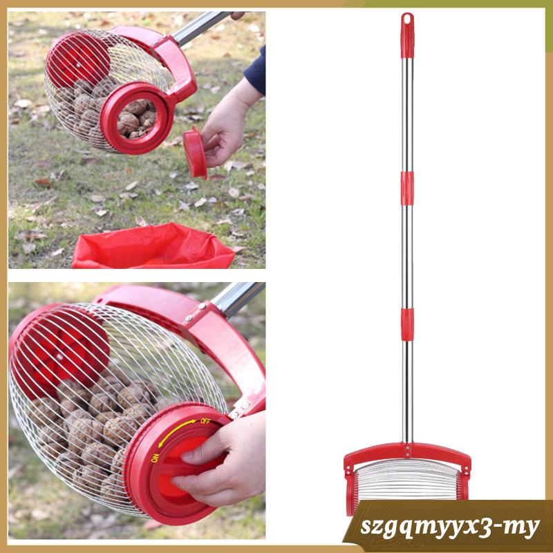[ Nut Gatherer Roller Rolling Nut Collector Detachable Acorn Picker